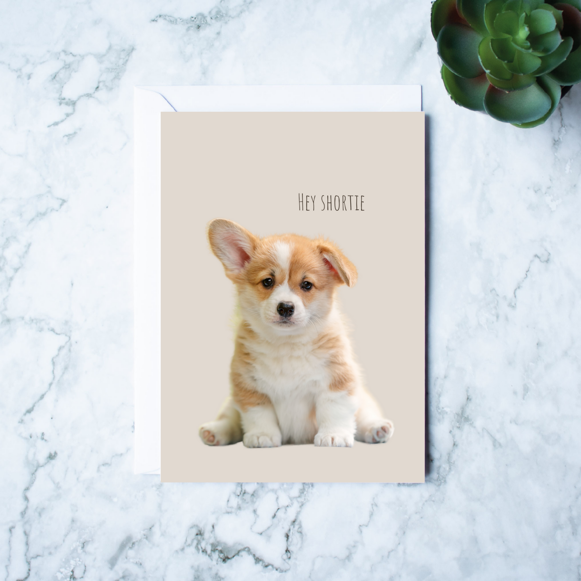 Hey Shortie Dog Greeting Card
