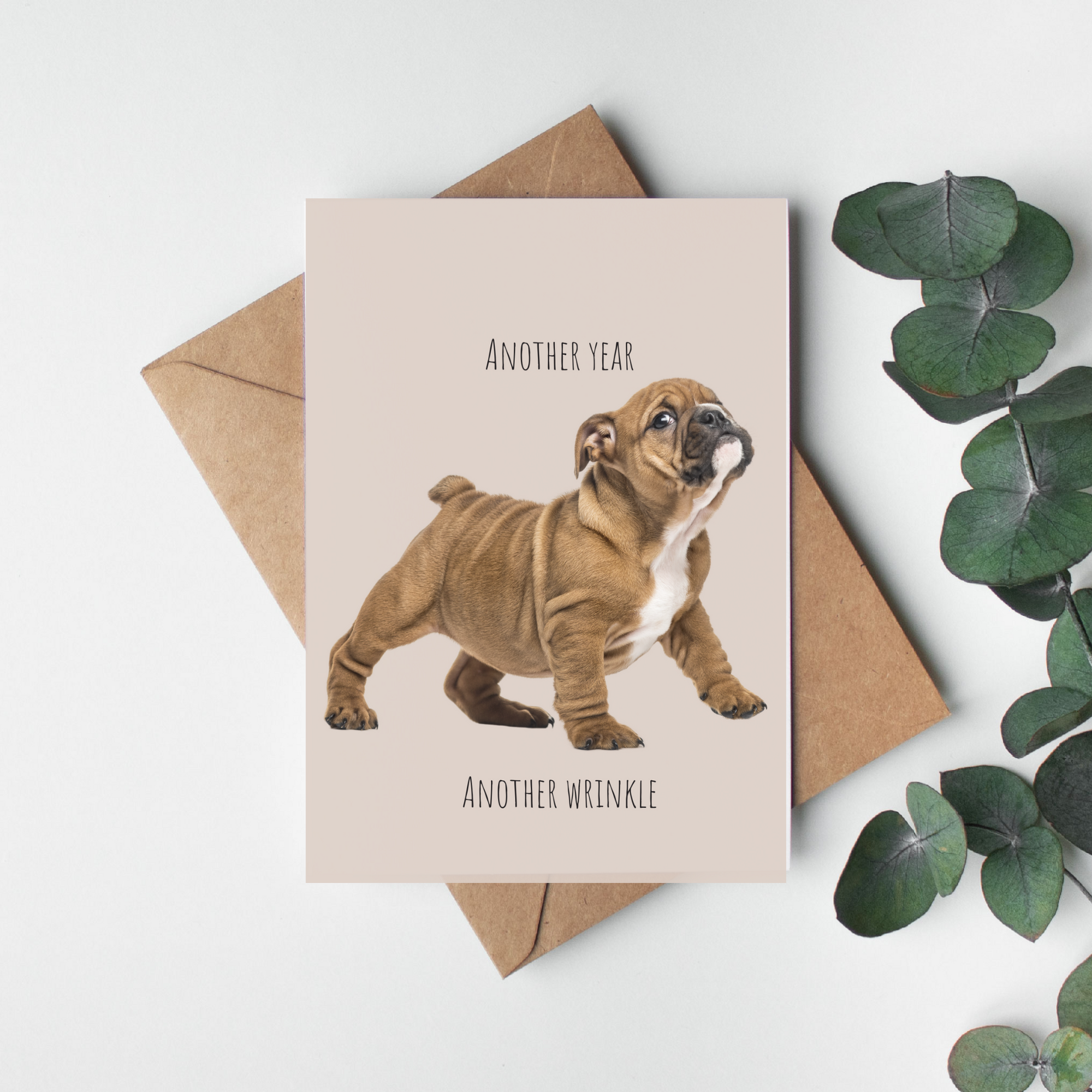 Another Year Another Wrinkle Dog Greeting Card