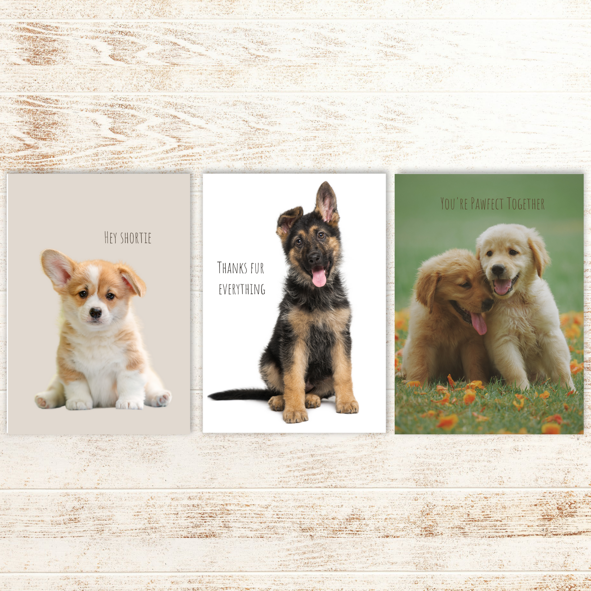 Dog Card Bundle