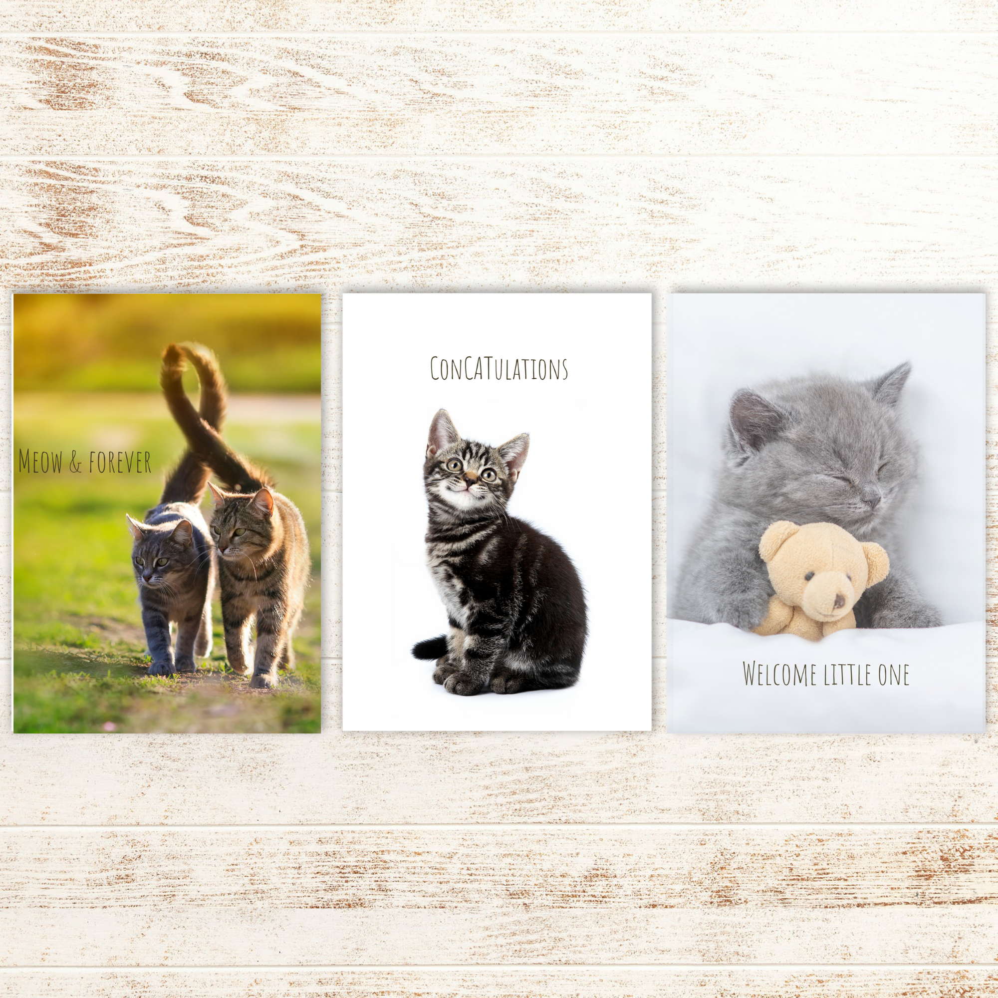 Cat Card Bundle