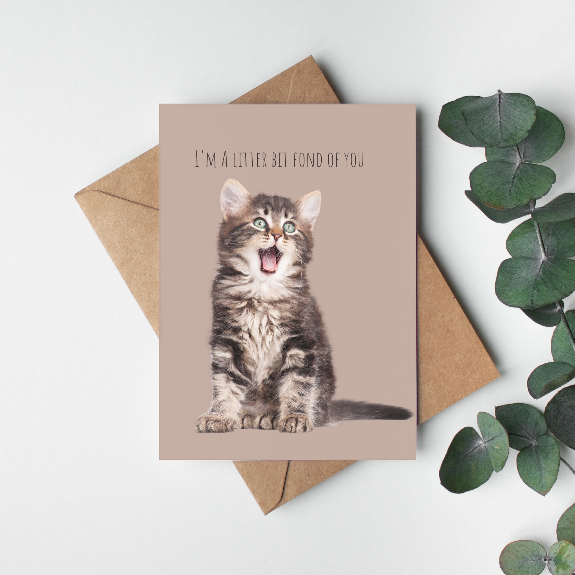 Litter Bit Proud Cat Greeting Card