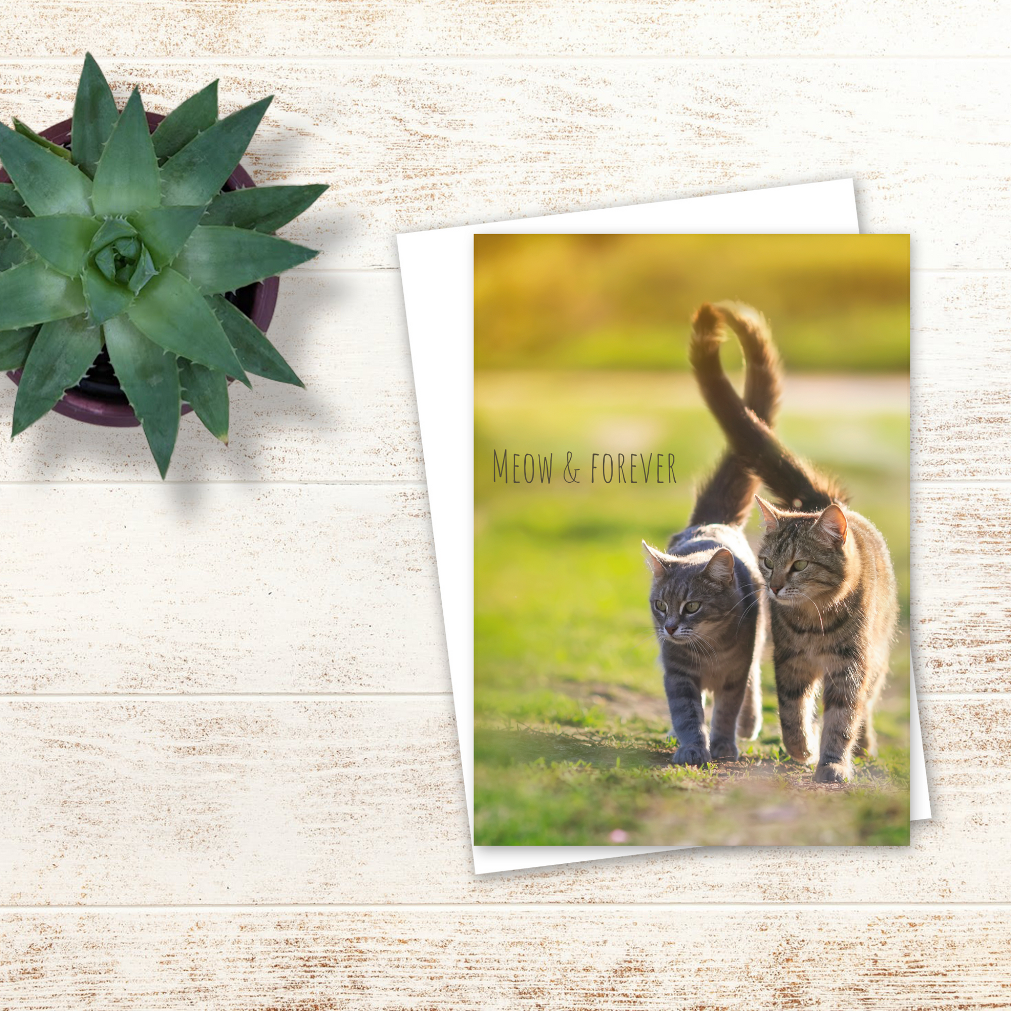 Meow and Forever Cat Greeting Card