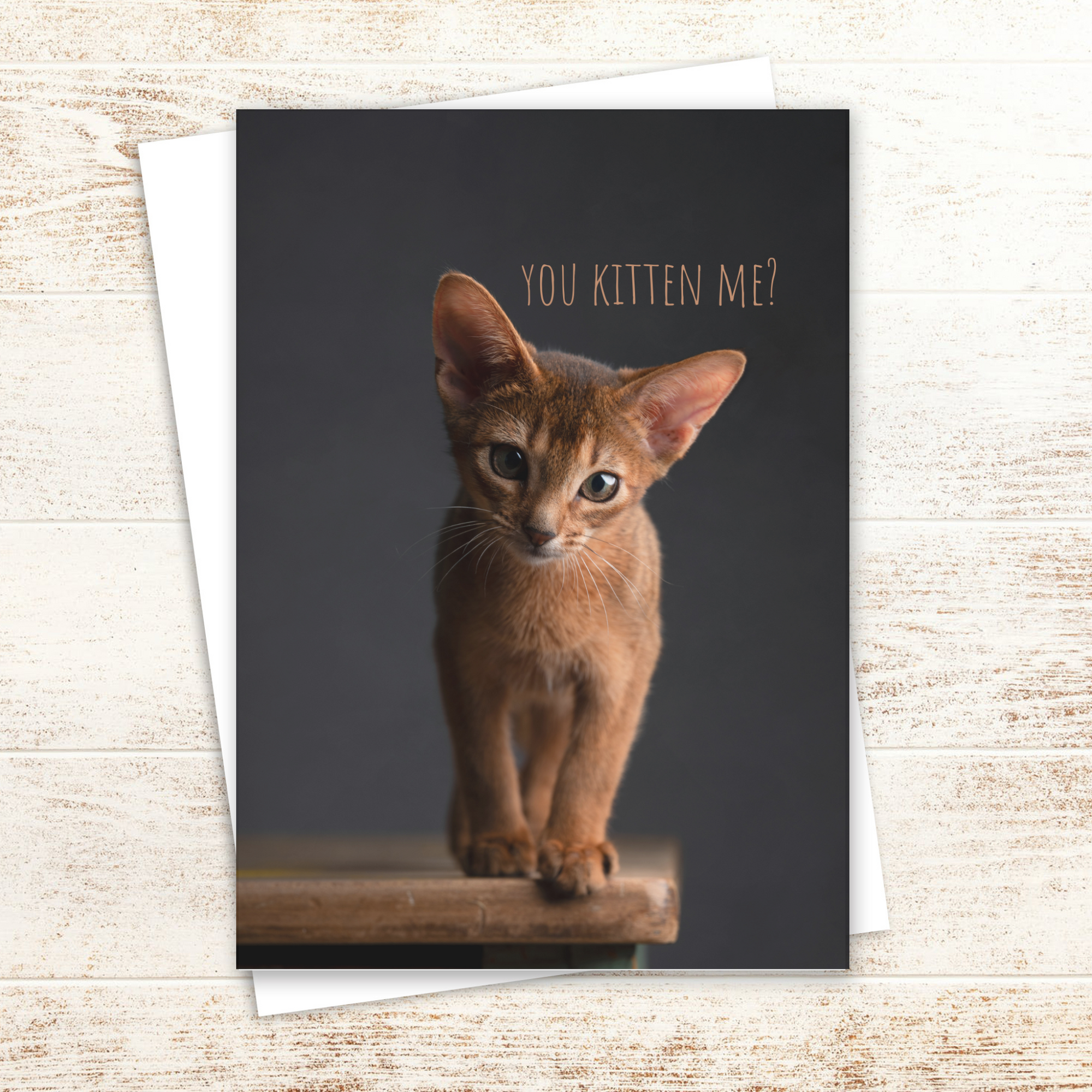 You Kitten Me Greeting Card