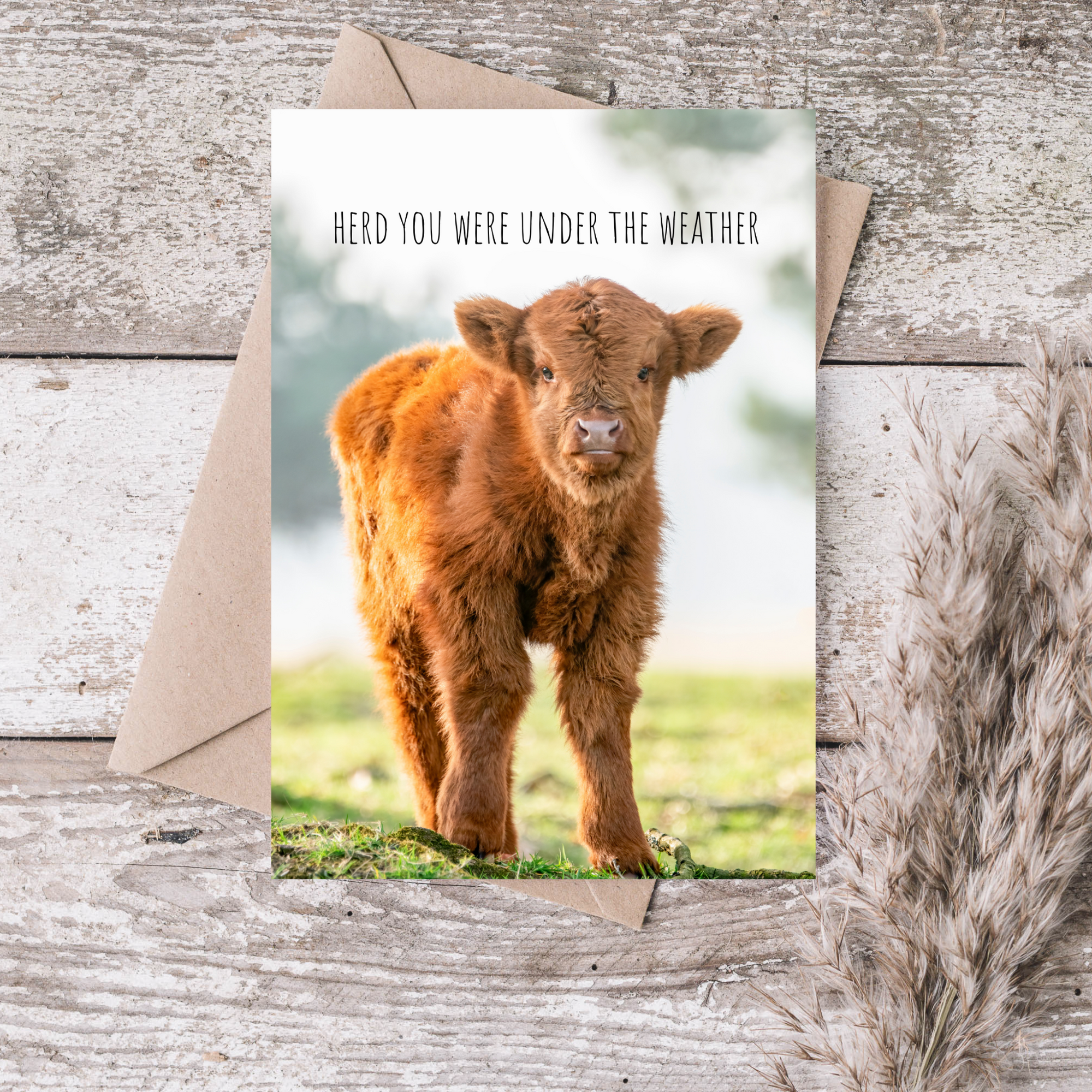 Herd You Were Under The Weather Greeting Card