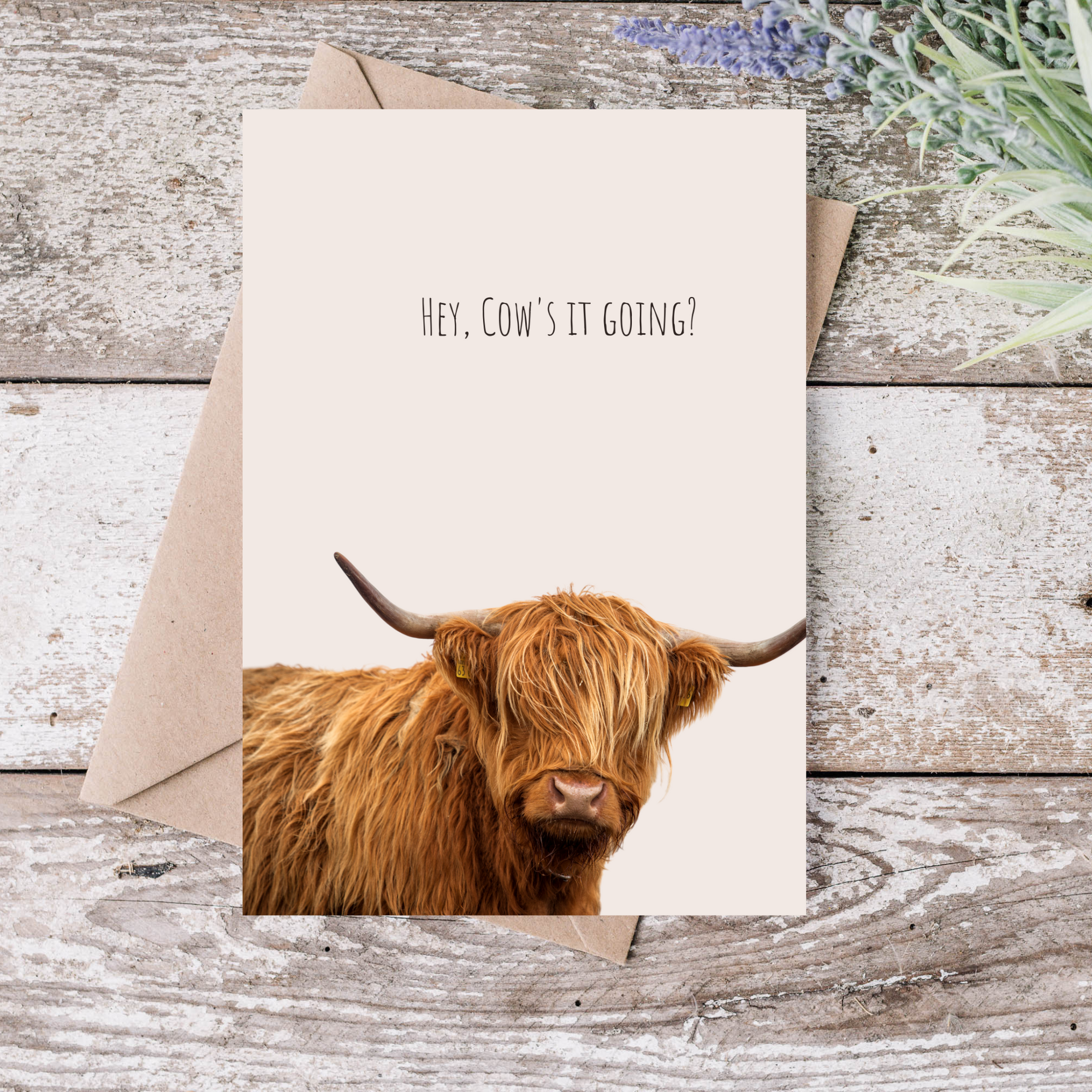 Hey Cow's It Going Greeting Card